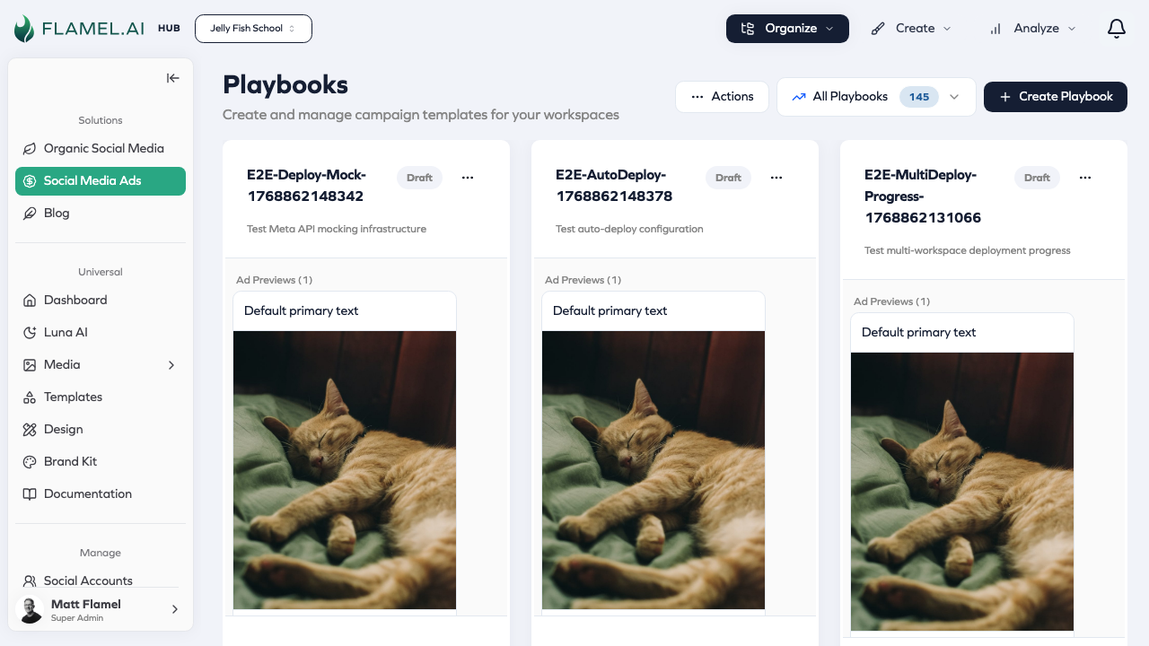 Paid Social Ads Overview